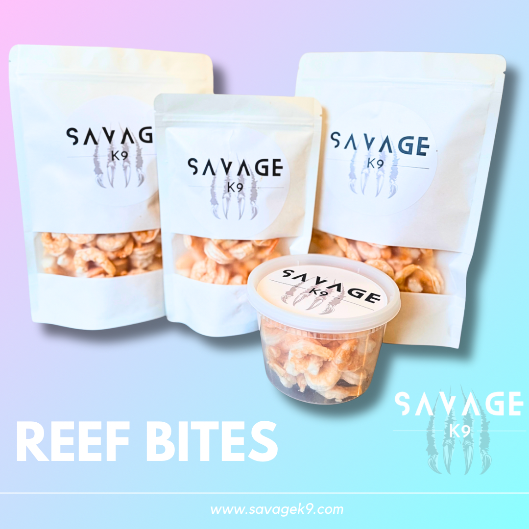 Reef Bites