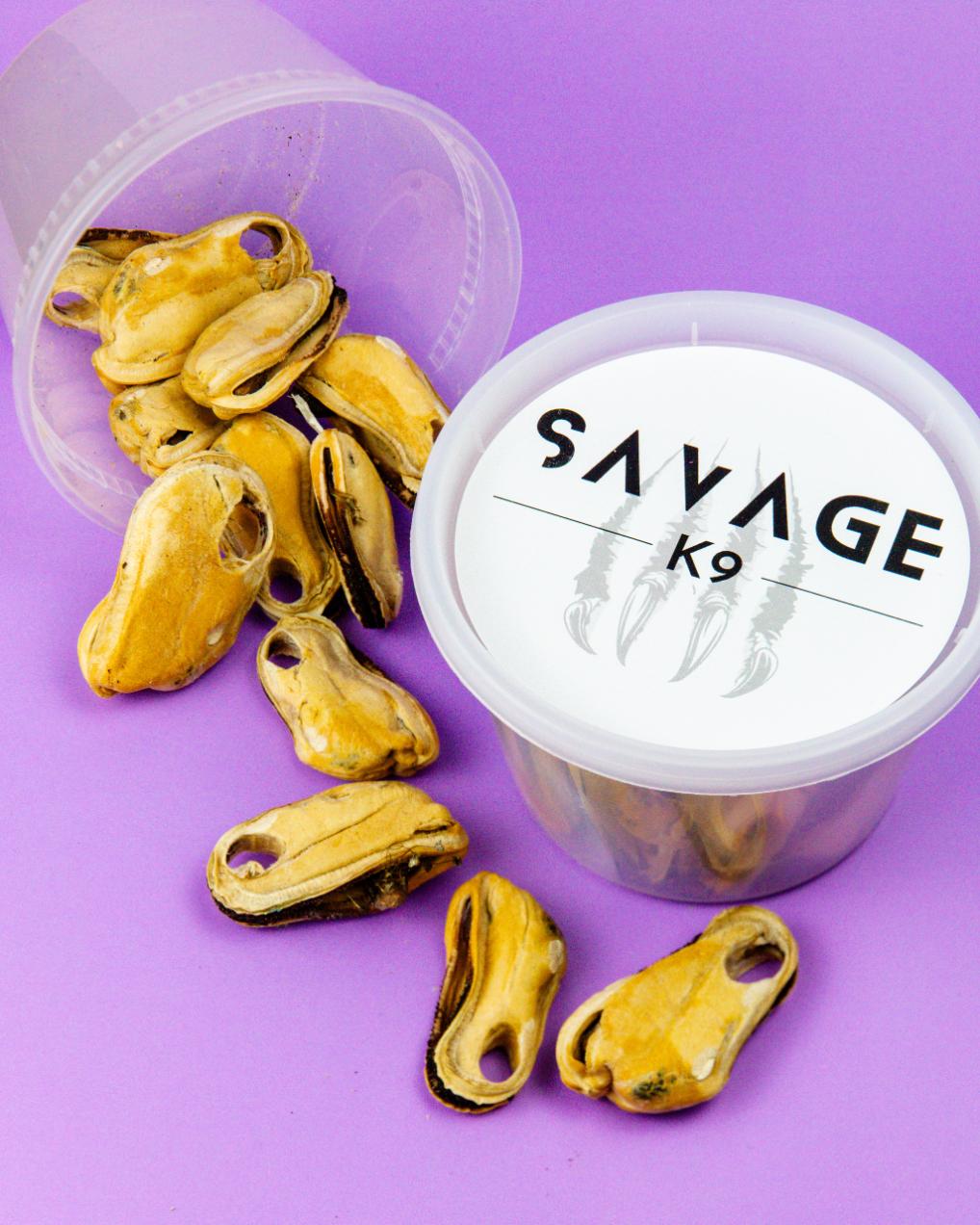 Kiwi Mussels