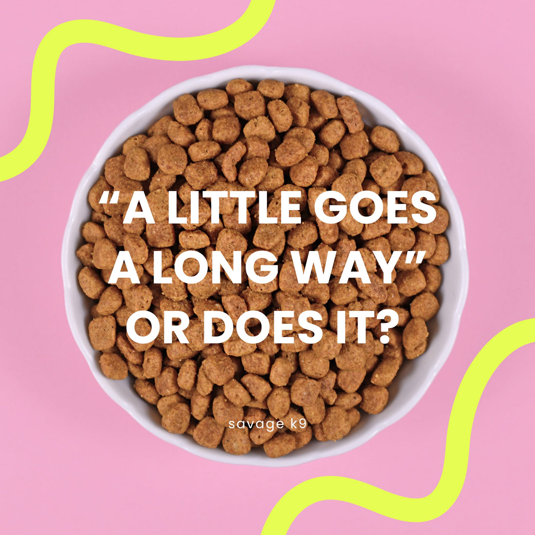 Mixing Raw & Kibble