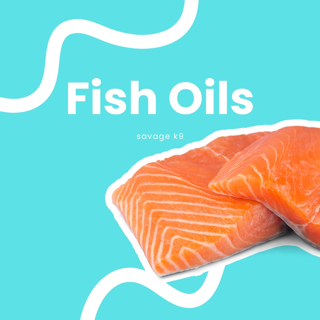Fish Oils