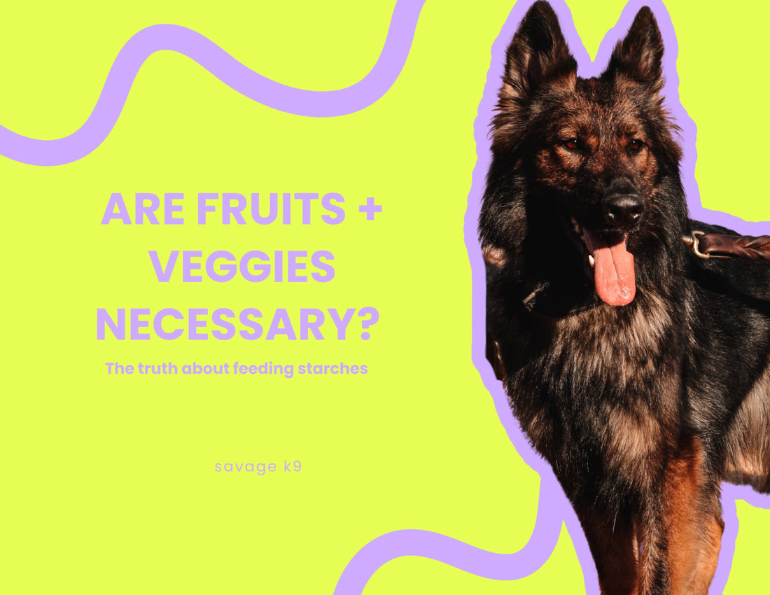 Are Fruits and Veggies Necessary?