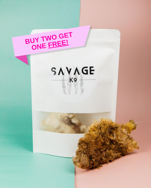 Primal Pelts: Buy Two Get One FREE!