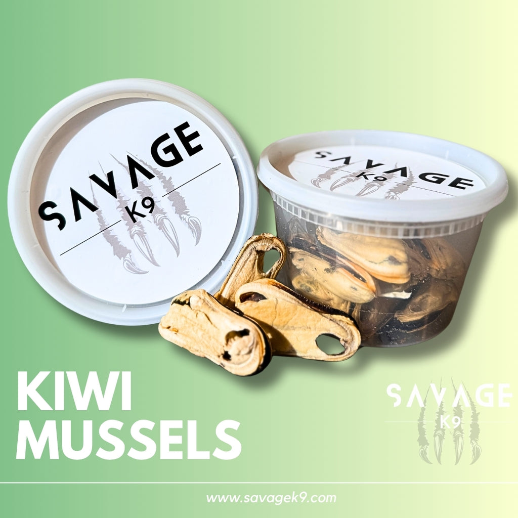 Kiwi Mussels