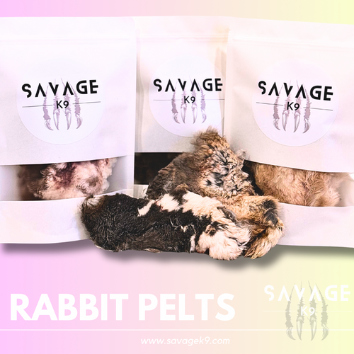 Primal Pelts: Buy Two Get One FREE!