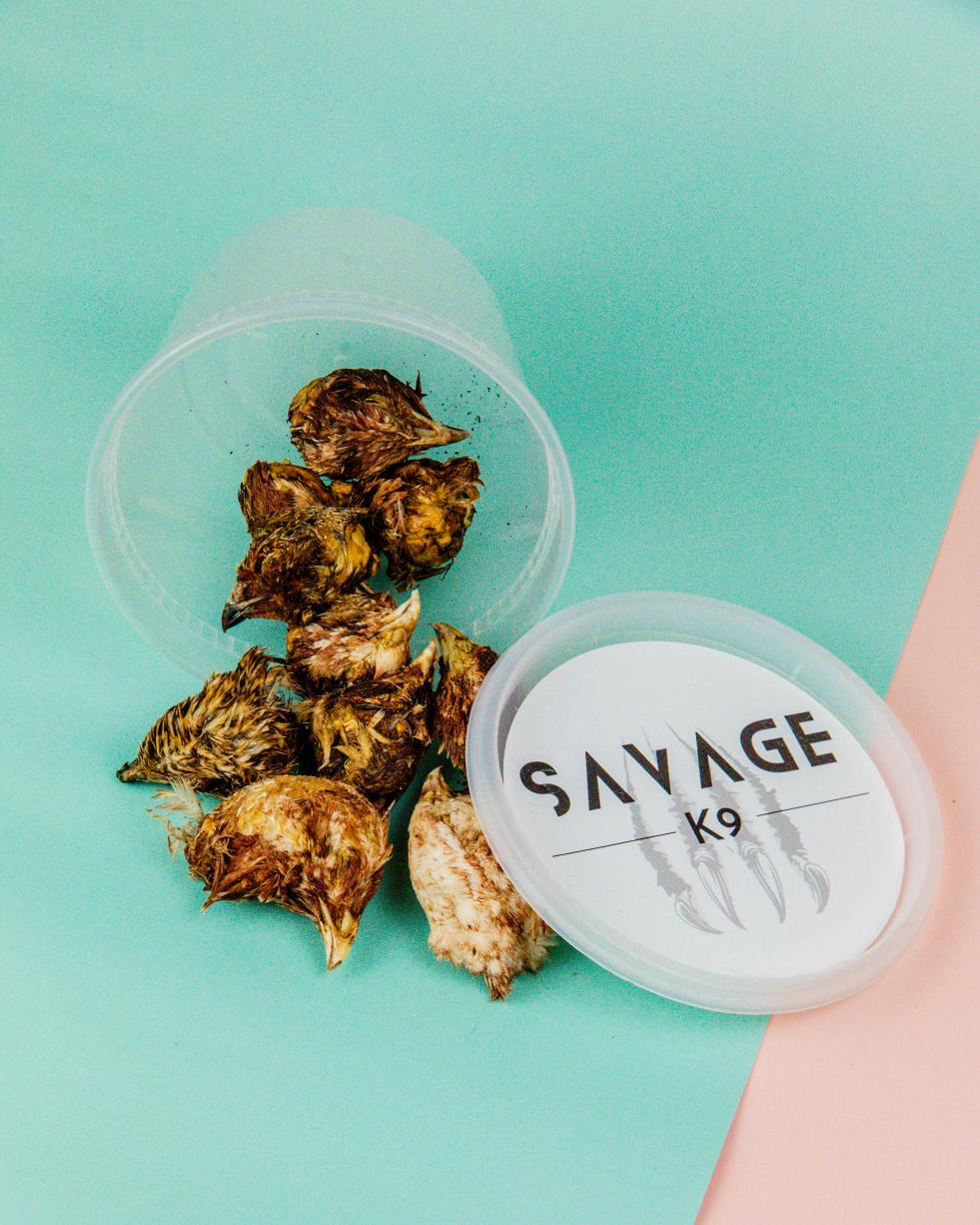Freeze-Dried Quail Heads