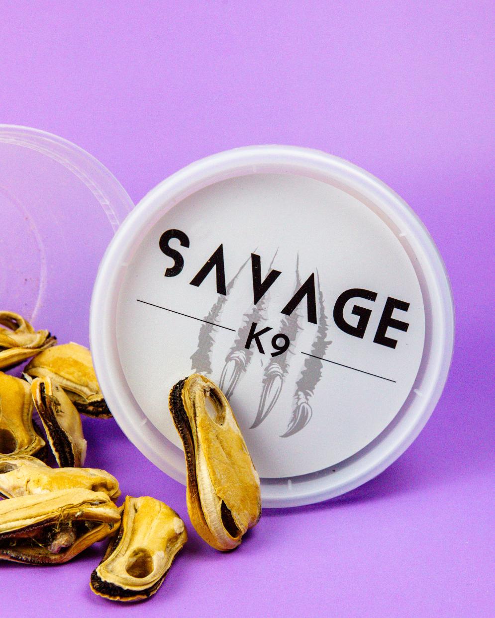Kiwi Mussels